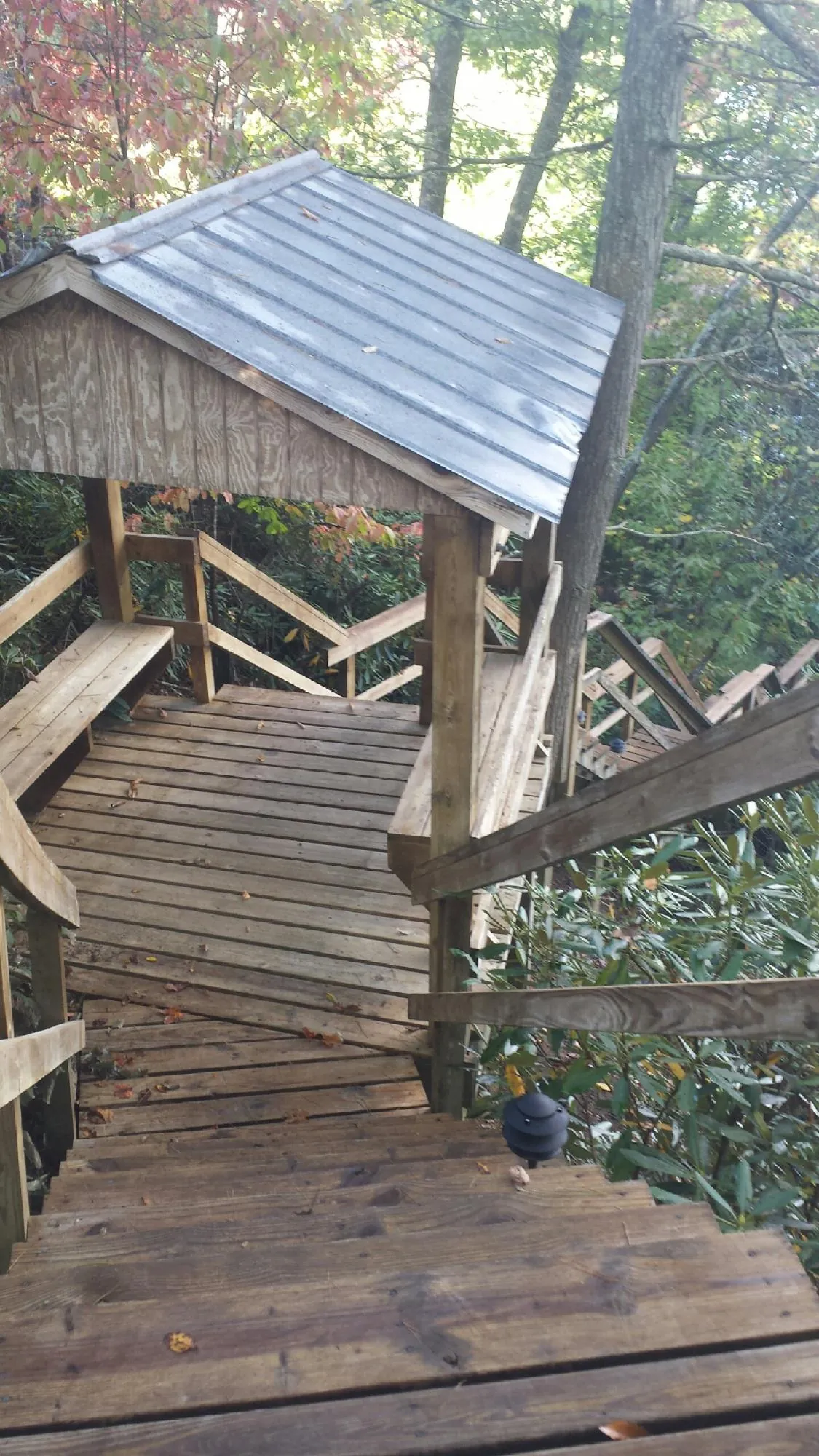 Metal roofed shelter over wooden steps on a wooded walkway — Skylight Repair & Installation work by our crew in Savannah
