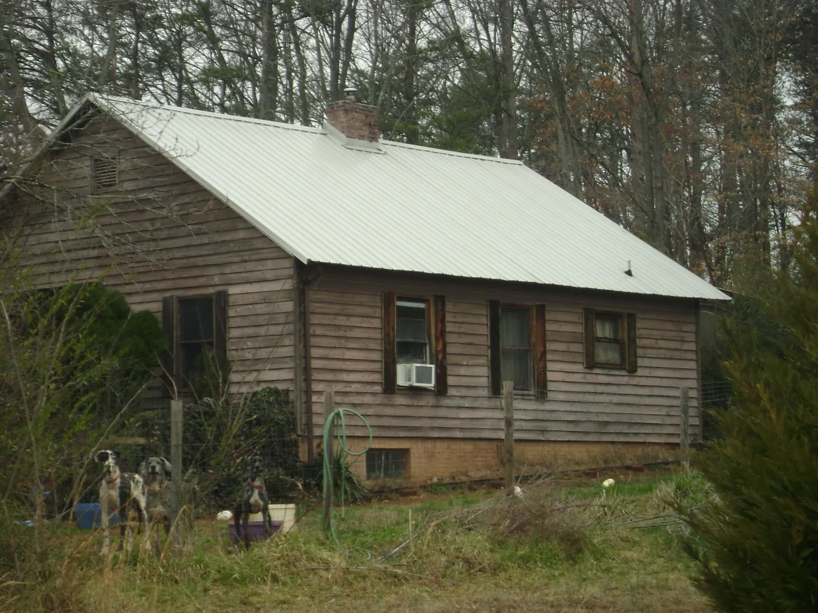 White metal roof on an old wood sided farmhouse, from a Asphalt Shingle Roof Repair job in Savannah